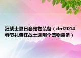 狂战士夏日套宠物装备（dnf2014春节礼包狂战士选哪个宠物装备）