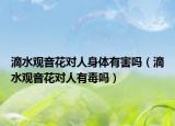 滴水观音花对人身体有害吗（滴水观音花对人有毒吗）