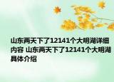 山东两天下了12141个大明湖详细内容 山东两天下了12141个大明湖具体介绍