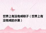 世界上有没有咸粽子（世界上有没有咸的水果）
