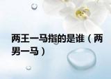 两王一马指的是谁（两男一马）