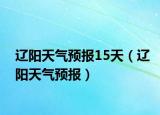 辽阳天气预报15天（辽阳天气预报）