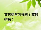 支的拼音怎样拼（支的拼音）
