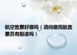 航空售票好做吗（请问做民航售票员有前途吗）