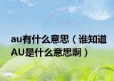 au有什么意思（谁知道AU是什么意思啊）