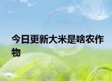 今日更新大米是啥农作物