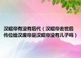 汉昭帝有没有后代（汉昭帝去世后传位给汉废帝是汉昭帝没有儿子吗）
