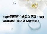 csgo国服客户端怎么下载（csgo国服客户端怎么安装优质）