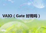 VAIO（Gate 好用吗）