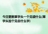 今日更新草字头一个见读什么(草字头加个见念什么字)