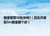 独享宽带50兆快吗?（百兆共享和5m独享那个好）