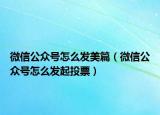 微信公众号怎么发美篇（微信公众号怎么发起投票）
