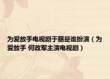 为爱放手电视剧于丽是谁扮演（为爱放手 何政军主演电视剧）