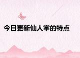 今日更新仙人掌的特点