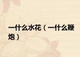 一什么水花（一什么鞭炮）