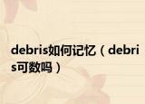 debris如何记忆（debris可数吗）