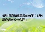 4月4日哀悼意思深的句子（4月4默哀语言说什么好）