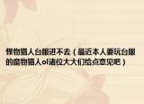 怪物猎人台服进不去（最近本人要玩台服的魔物猎人ol诸位大大们给点意见吧）