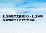 社区协理员工资是多少（社区劳动保障协理员工资为什么低呀）