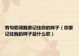 有句歌词我要记住你的样子（你要记住我的样子是什么歌）