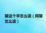 獾这个字怎么读（阿獾怎么读）