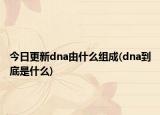今日更新dna由什么组成(dna到底是什么)
