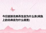 今日更新北鼎养生壶为什么贵(闲鱼上的北鼎壶为什么便宜)
