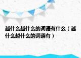 越什么越什么的词语有什么（越什么越什么的词语有）