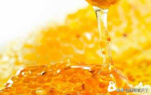 喝酒伤胃，4种可以解酒的食物，你了解多少