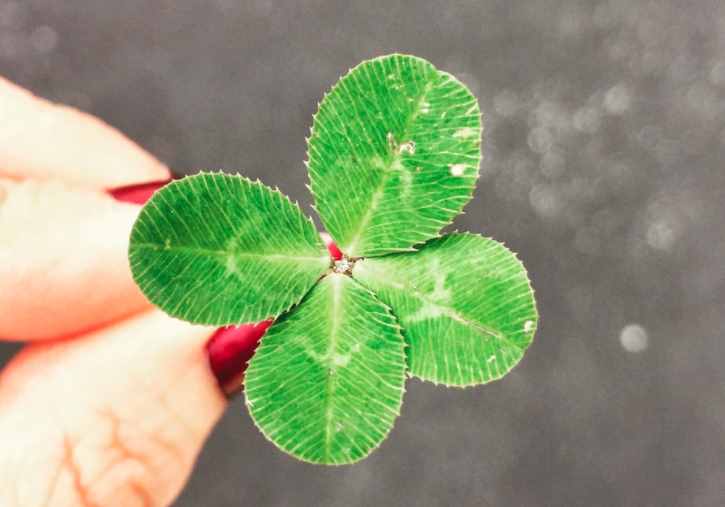 lottery，draw，raffle都有“抽奖”的意思，究竟有什么区别？