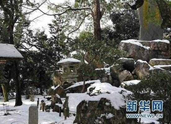 立冬是什么意思内涵介绍 立冬节气的含义寓意是什么