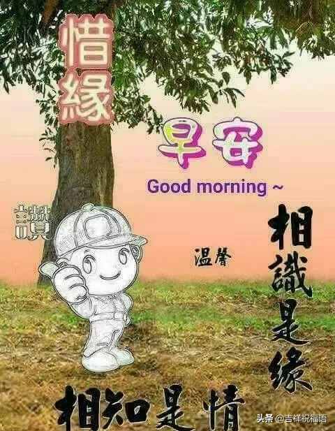 新的一天早晨好问候祝福语录大全，早上好暖心祝福短信大全