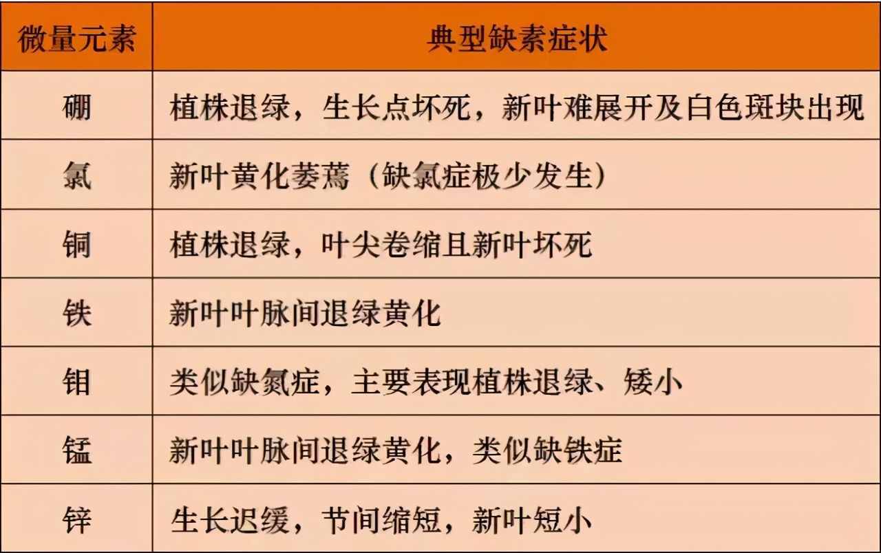 土壤微量元素功能及缺素诊断
