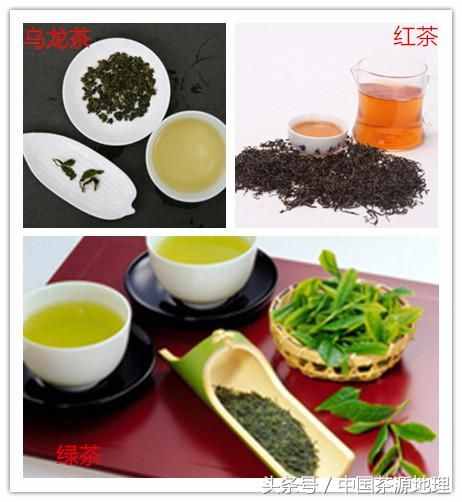 乌龙茶是红茶还是绿茶？两者都不是，是青茶