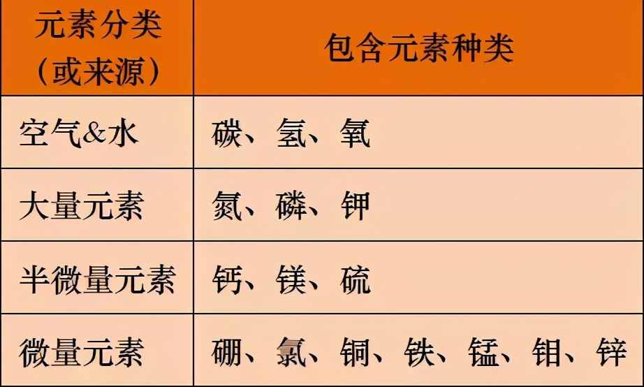 土壤微量元素功能及缺素诊断