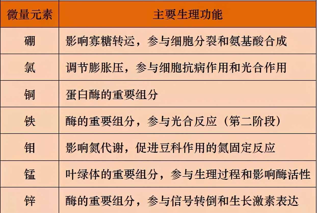 土壤微量元素功能及缺素诊断