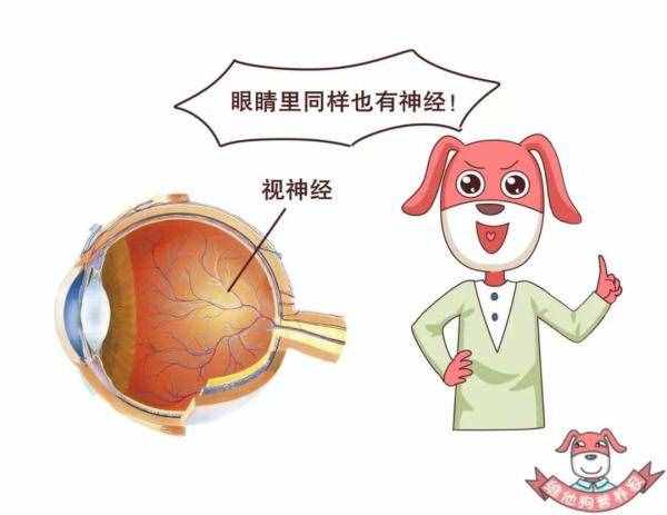 不知不觉得了糖尿病？这些早期症状你要了解