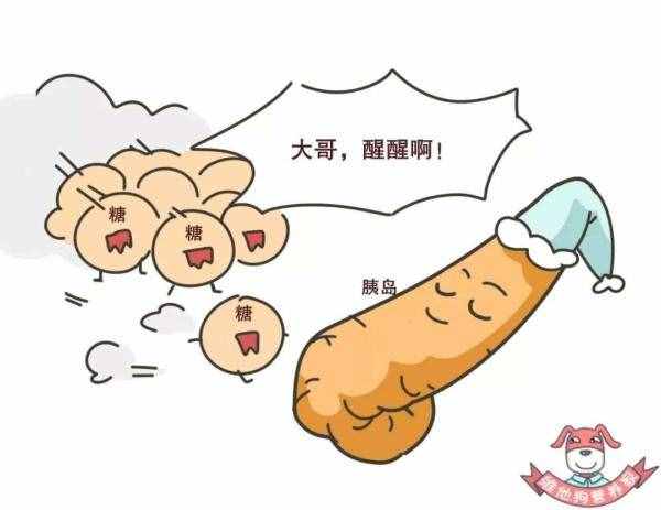 不知不觉得了糖尿病？这些早期症状你要了解