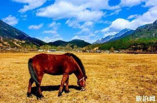去丽江怎么去 去丽江旅游的交通方式