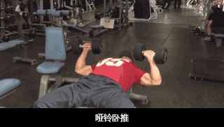 怎样练好哑铃卧推，实现胸肌的完美进步？