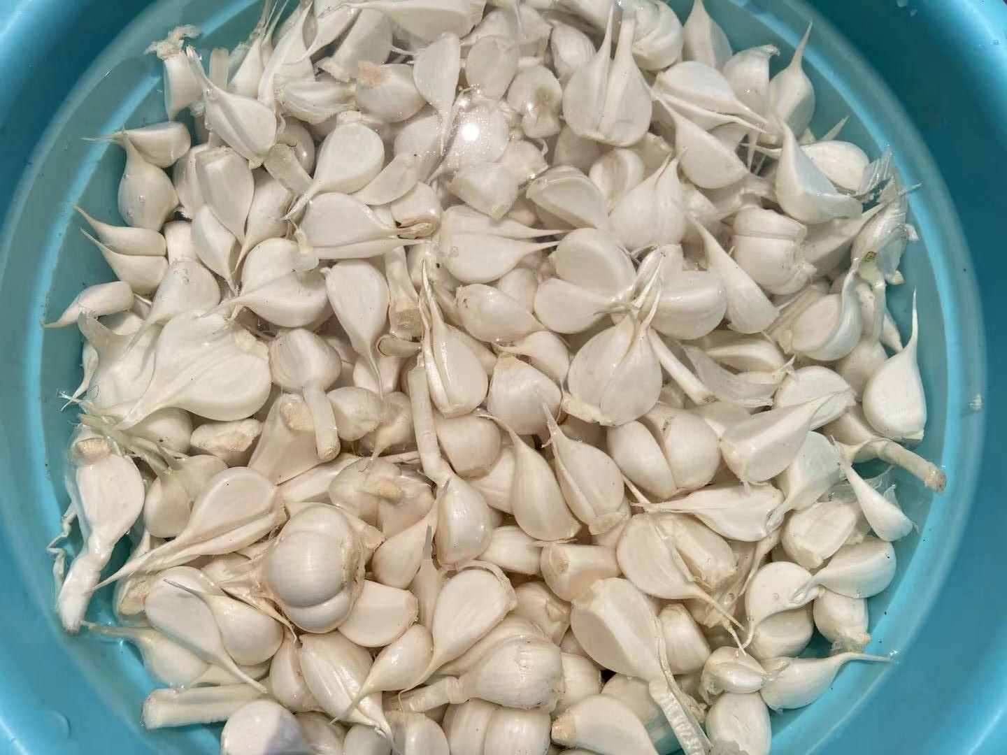 正宗糖醋蒜的做法，配方比例全教给你，脆爽开胃，放一年也不坏