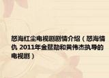 怒海红尘电视剧剧情介绍（怒海情仇 2011年金鳌勋和黄伟杰执导的电视剧）