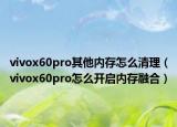 vivox60pro其他内存怎么清理（vivox60pro怎么开启内存融合）