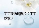 丁丁炒面的图片（丁丁炒饭）