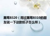 黑莓8320（用过黑莓8310的朋友说一下这款机子怎么样）
