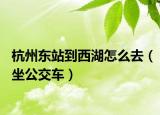 杭州东站到西湖怎么去（坐公交车）