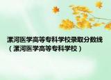 漯河医学高等专科学校录取分数线（漯河医学高等专科学校）