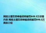 网络主播范思峰偷逃税被罚649.5万详细内容 网络主播范思峰偷逃税被罚649.5万具体介绍