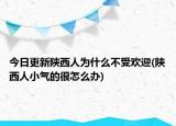 今日更新陕西人为什么不受欢迎(陕西人小气的很怎么办)