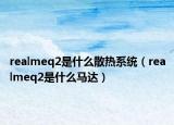 realmeq2是什么散热系统（realmeq2是什么马达）